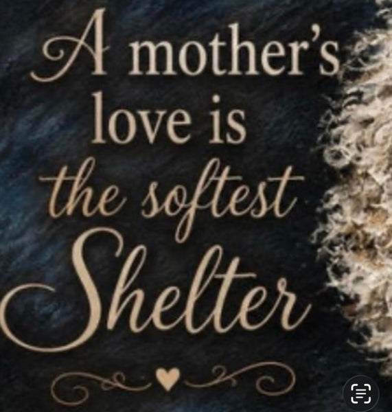 Canvas Print 11" X 14" - Mother Sheep's Love (Healing Art)