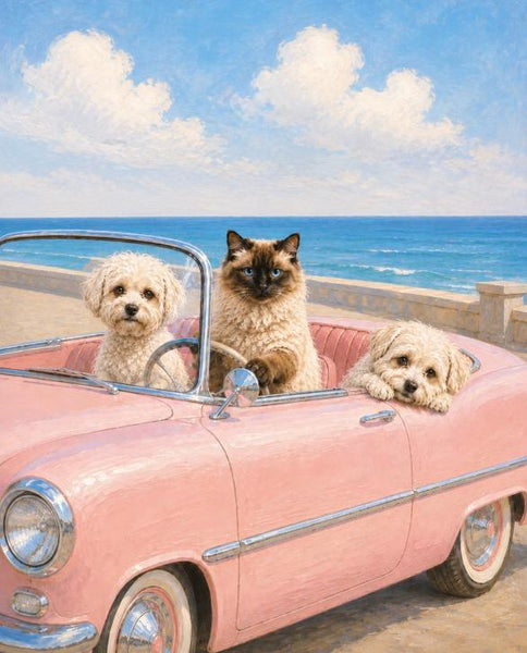 Your Pet Reimagined