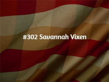 #13P3 Medium Check Curtain