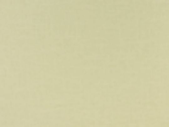 #3050 Linen Smocked Drapes