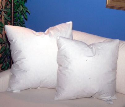 #C4004  DUCK DOWN / FEATHERS 22 x 22  Throw Pillow Form
